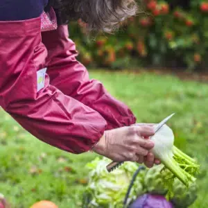 Manchons - Sacasalades by Arminé