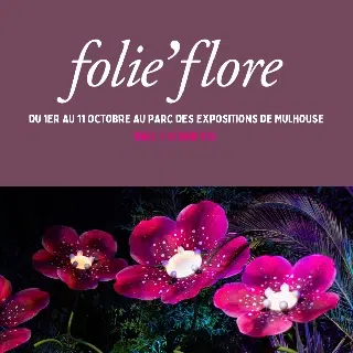 banniere-folie-flore-mulhouse-2026-smartphone (Copie) Salon Folie Flore 2026 Sacs à salades